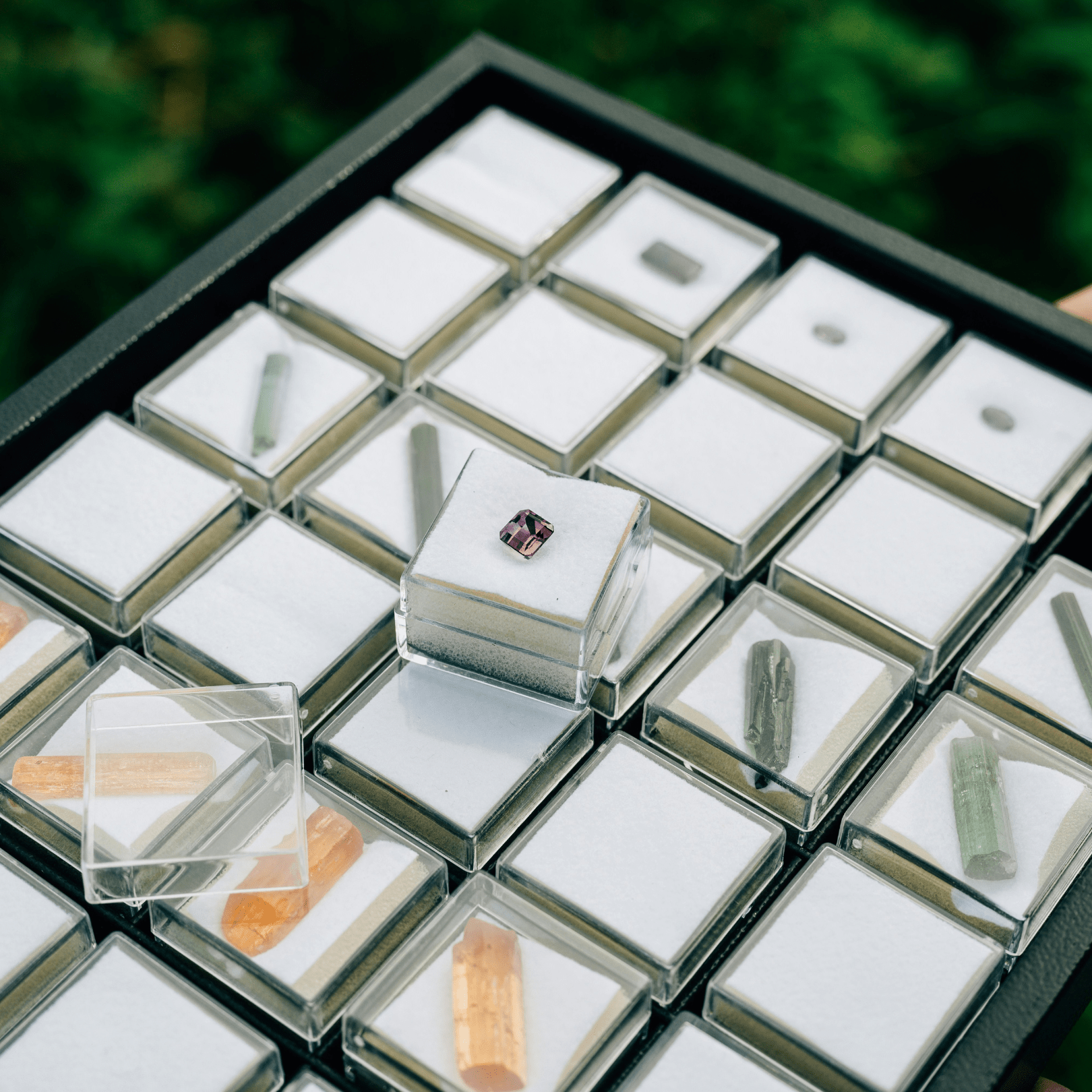 The power of color, the purity of nature