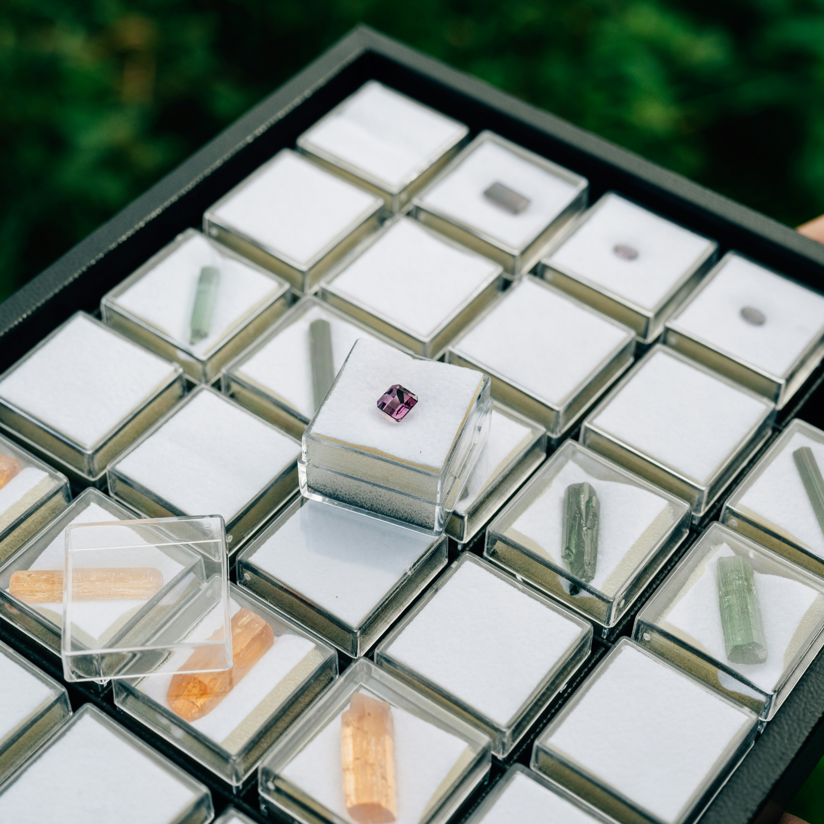 The power of color, the purity of nature